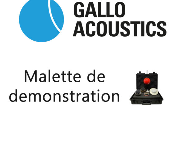 Gallo Acoustics GDEMOCASE