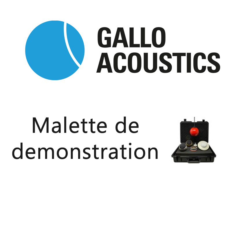 Gallo Acoustics GDEMOCASE