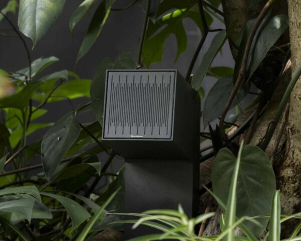 Magna Audio Polly Spot