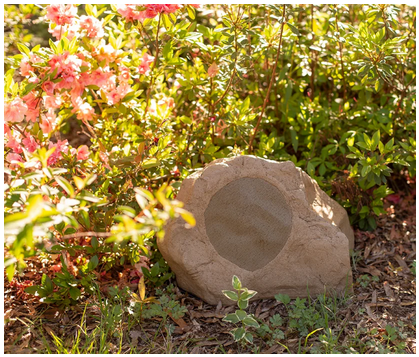 Episode ES-ROCK-8-SAN – Image 6