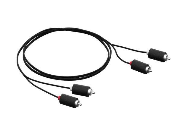 Sonos Câble RCA